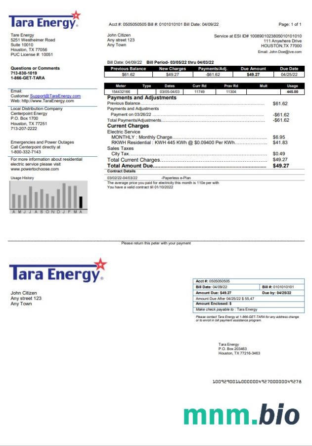 USA Texas Tara Energy rachunek za media szablon w formacie Word i PDF